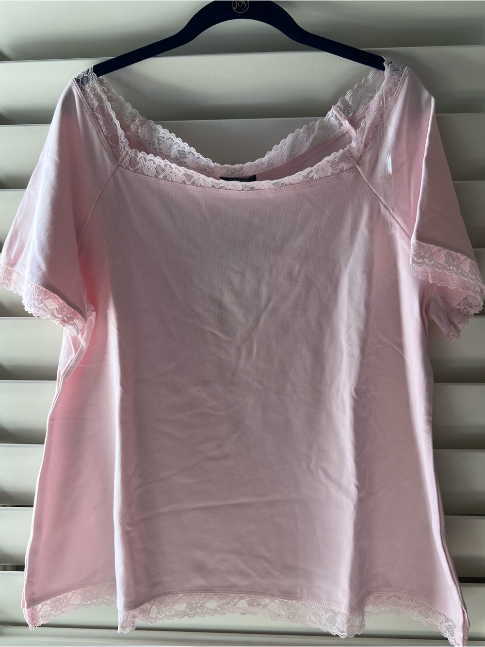wild fable 2X New/Tags Light Pink Lace-Trim Short Sleeve Top